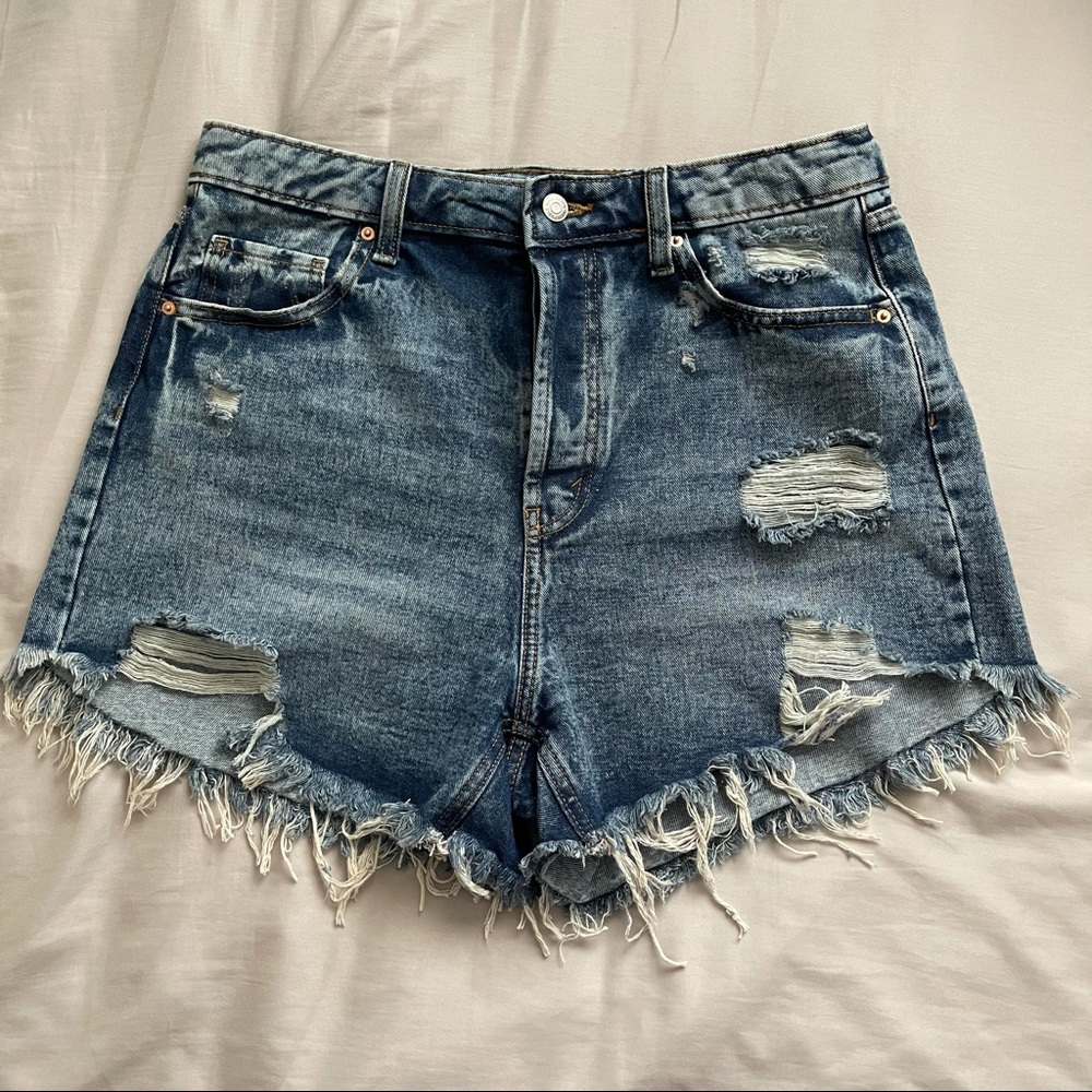 Wild Fable Shorts